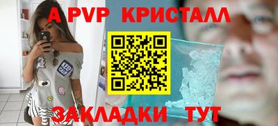 spice Вязники