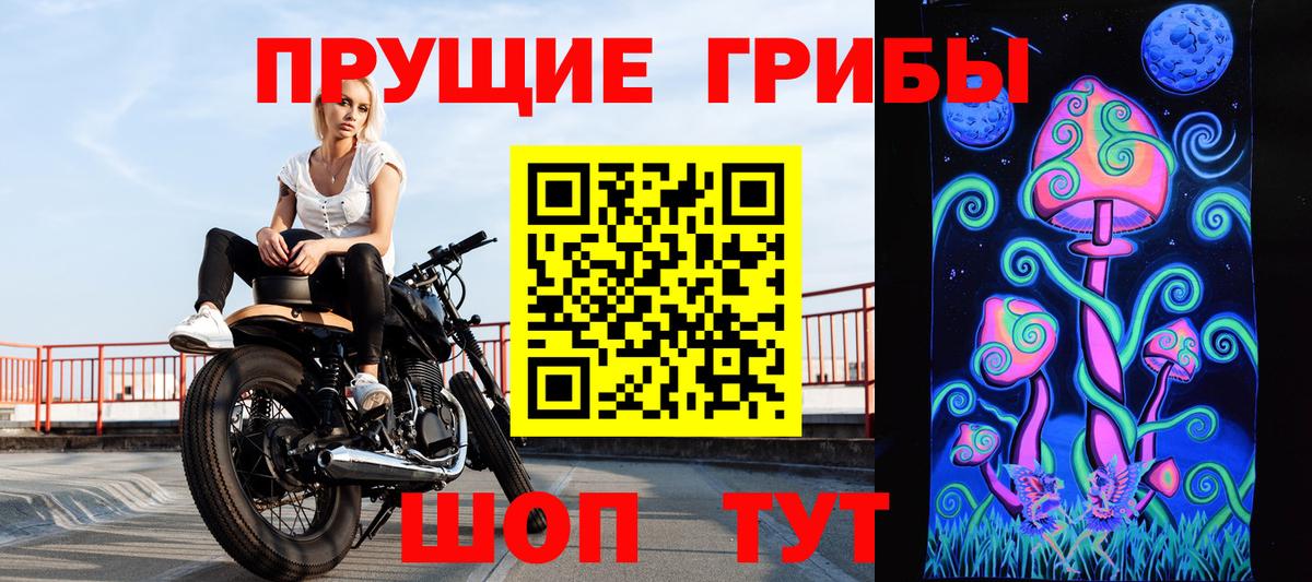 Галлюциногенные грибы Cubensis Муром