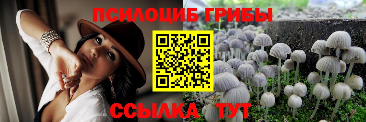 Галлюциногенные грибы Psilocybe  Вход с VPN  Галлюциногенные грибы Psilocybe  хочу   Муром 