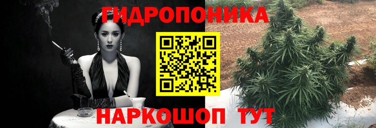 Канабис SATIVA & INDICA Муром